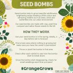 Grange Grows Seed Bombs!